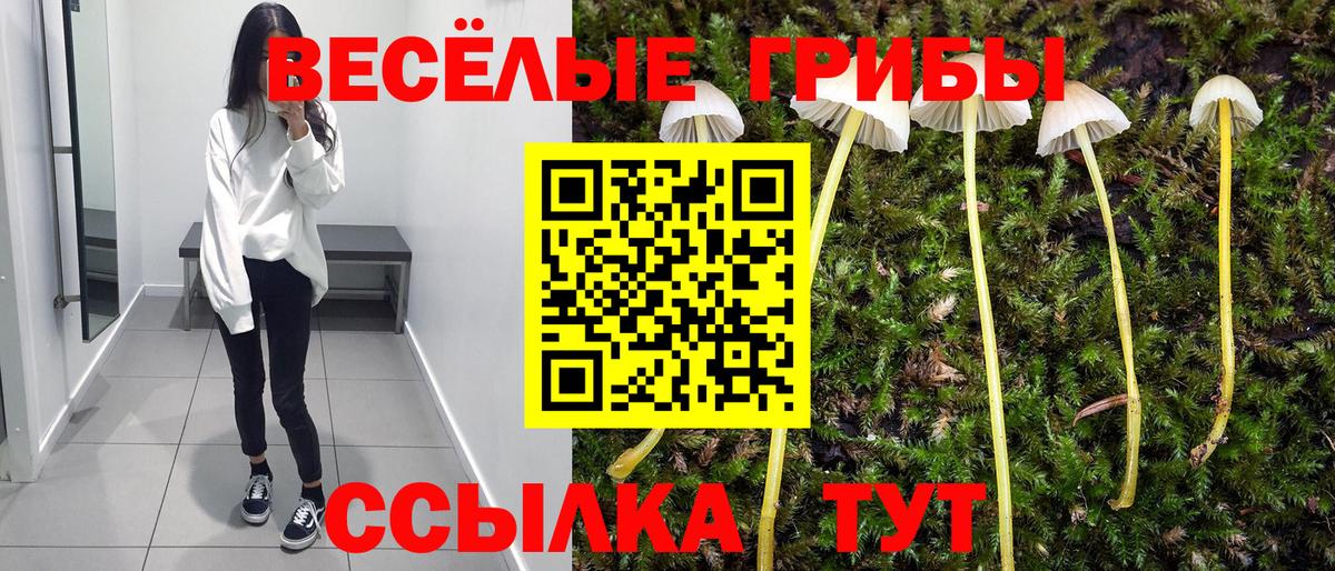 Псилоцибиновые грибы Cubensis  Вход с VPN  Лысьва  Галлюциногенные грибы Psilocybine cubensis 