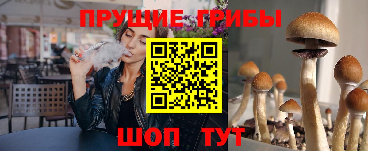 Псилоцибиновые грибы Magic Shrooms Лысьва